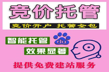百度广告推广策略及成功案例解析